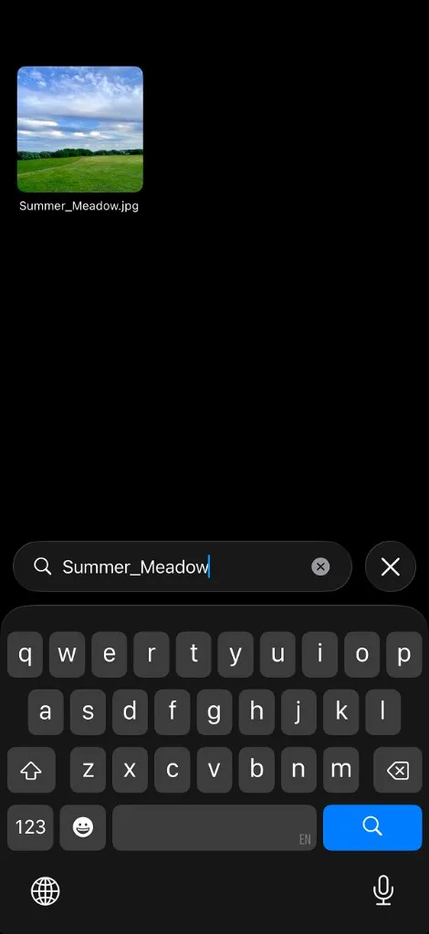RollSearch app showing instant filename search finding Summer_Meadow.jpg in the camera roll