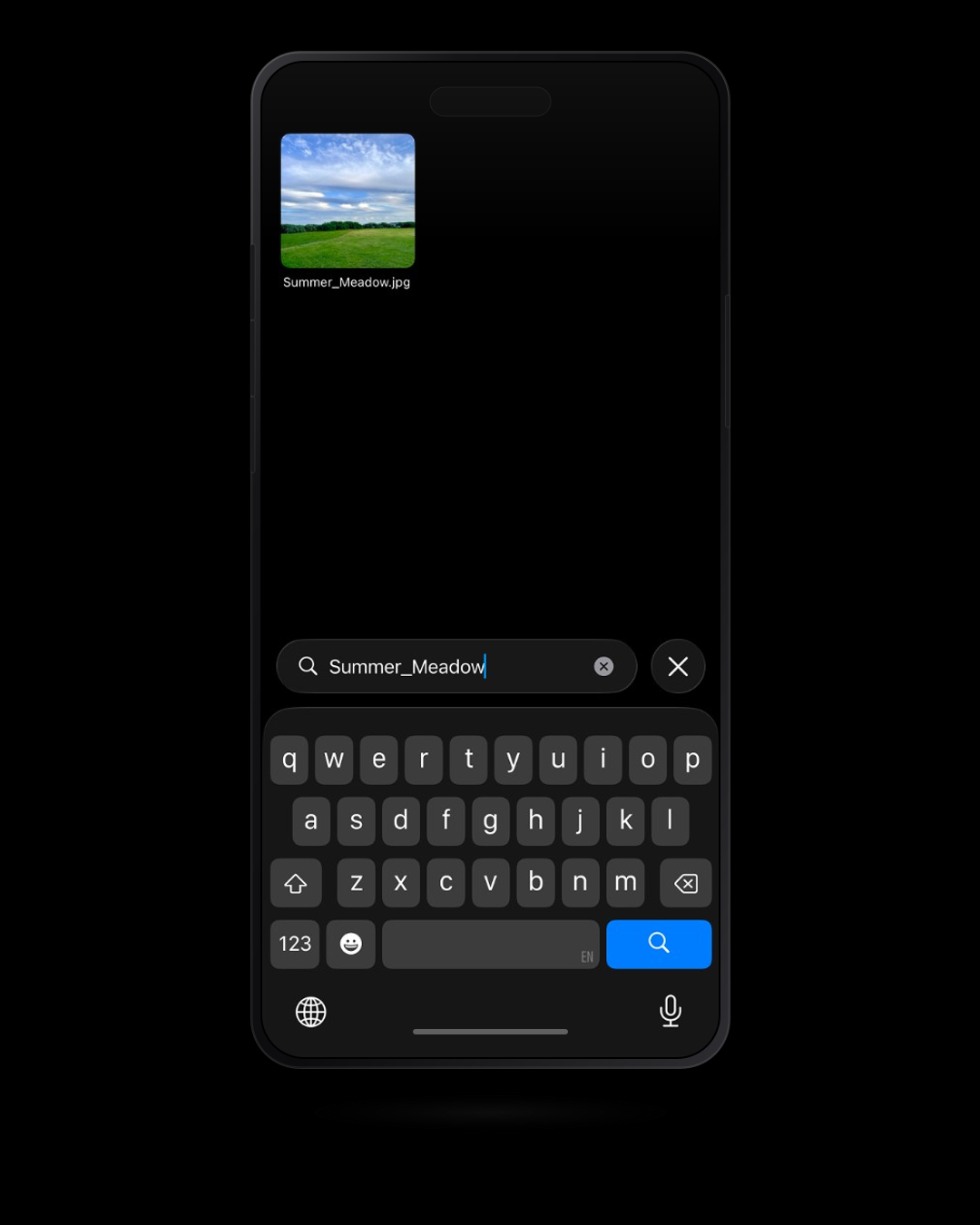 RollSearch iOS app searching iPhone photos by exact filename